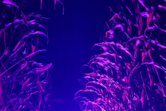20240805_001229